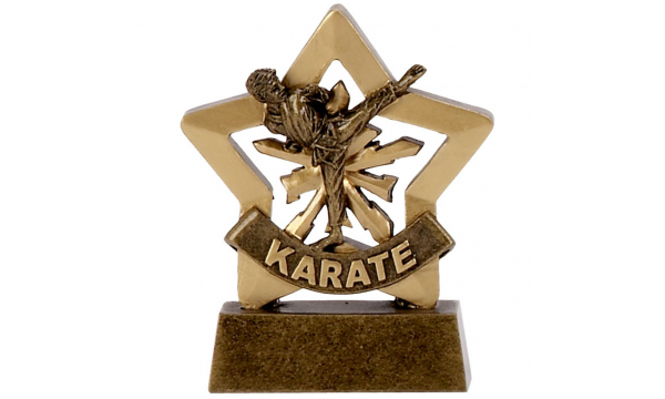 Judo & Karate